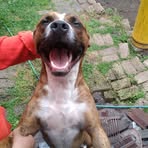 Everardo Benítez - Facebook