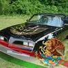 Everardo Limon473 - @everardol0 - TikTok