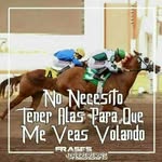 Everardo Limon - @everardolimon826 - Instagram