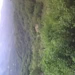 Everardo Roque - @everardo.roque.796 - Instagram