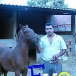 Everardo Hurtado Salazar - @everardohurtadosalazar - Instagram