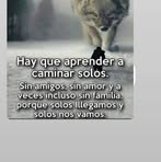 Everardo Soto - Facebook