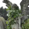 Everett - @everett.s.bennett - TikTok