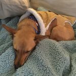 Everettbergen - @everettbergen7150 - Instagram