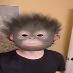 Everett - @everettisthebest - Instagram