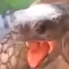 Everett Hinkley - @everett.hinkley1 - TikTok