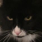 Evbird - @everett_bird - Instagram