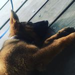 Bosco Everett - @boss.everett - Instagram
