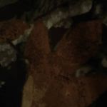 Everett Bowers - @everett.bowers.77 - Instagram