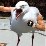 @everett_idiots_boxing - Instagram