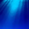 user7976981208844 - @everettboyd8ccnfp - TikTok