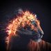 Everett Brady - Facebook