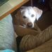 Everett Burke - Facebook