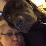 Suzanne Everett Carr - @zannecarr - Instagram