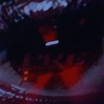 Everett Chambers - @everett.chambers.77 - Instagram