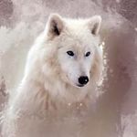 Everett Chastain - @everett.chastain.98 - Instagram