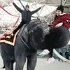 thisisnoteverett - @everettchew - TikTok