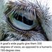 Everest Chisom - Facebook