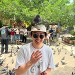 Everett Chung - @everett_chung - Instagram