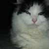 Everett Clark - @everett.clark94 - TikTok