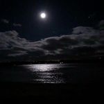 Everett Clarke - @clarke_everett - Instagram