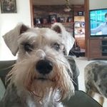 Everett Collins - @collins_everett - Instagram