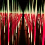 Michael Everett Combs - @miguelshroom - Instagram