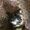 everettconnelley - @everett.connelley - TikTok