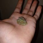 Shawn Everett Conway - @xsec420x - Instagram