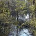 Everett Crowley Park - Facebook