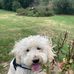 Daisy Everett - Facebook