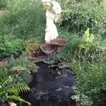 Everett Day - @account_is_deleted363373 - Instagram