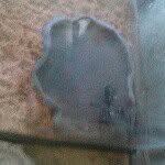 everettday - @everettday03 - Instagram