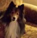 Everett Deckard Jr - Facebook