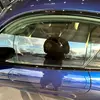 Everett D - @ecom.everett - TikTok