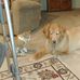 Everett Dodd - Facebook