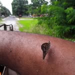 everettdoty - @edotty1976 - Instagram