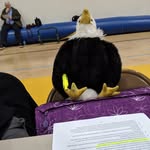 Everett - @everetttheeagle - Instagram