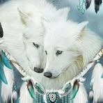Everett Ecker - Facebook