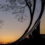 Everett L Elkins - @everettlelkins5 - Instagram