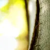 everettesparza788 - @everettesparza788 - TikTok