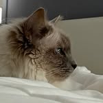 Everett Fairbrother - @everettfairbrother - Instagram