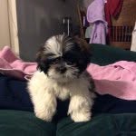 Everett Farmer - @bigej88 - Instagram
