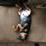 Everett Farrow - @everett_farrow24 - Instagram