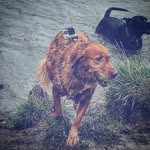 Everett R. Finkelstein - @everett_finkelstein_ - Instagram