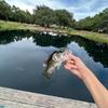 EverettFishes - @everettfishes - TikTok