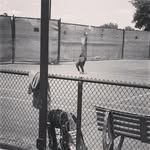 Everett Franklin - @everettfranklin - Instagram