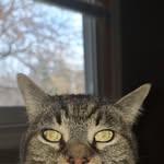 Frank Everett Inman Franklin - @feinman68 - Instagram