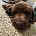 Everett freeman - @everettfreeman86 - Instagram