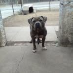 Everett Gaines - Facebook